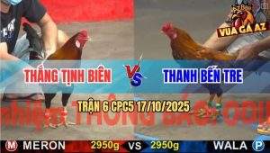 Trận 6 CPC5 17/10/2025 - Anh Thắng Tịnh Biên Và Anh Thanh Bến Tre