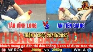 Trận 6 CPC5 29/10/2025 - Anh Tân Vĩnh Long Và Anh An Tiền Giàng