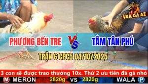 Trận 6 CPC5 4/10/2025 - Anh Phương Bến Tre Và Anh Tâm Tân Phú
