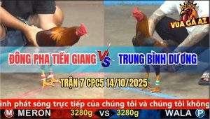 Trận 7 CPC5 14/10/2025 - Đồng Pha Tiền Giang Và Anh Trung Bình Dương