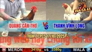 Trận 7 CPC5 17/10/2025 - Anh Quang Cần Thơ Và Anh Thanh Vĩnh Long