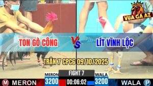 Trận 7 CPC6 9/10/2025 - Bướm Anh Lít Đá Gà Anh Ton Không Kịp Nhấc Chân