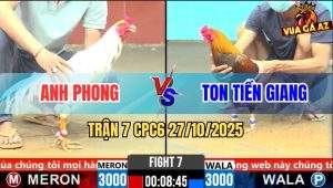 Trận 7 CPC6 27/10/2025 - Gà Bướm Anh Phong Lọt Trước Bà Rướt Đi Luôn