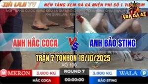 Trận 7 TonHon 18/10/2025 - Bướm Hiệu Anh Bảo Sting Nhảy Dù Phút Cuối