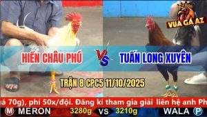 Trận 8 CPC5 11/10/2025 - Anh Hiền Châu Phú Và Anh Tuấn Long Xuyên