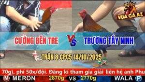 Trận 8 CPC5 14/10/2025 - Anh Cường Bến Tre Và Anh Trương Tây Ninh