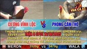 Trận 8 CPC5 16/10/2025 - Anh Cường Vĩnh Lộc Và Anh Phong Cần Thơ