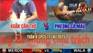 Trận 8 CPC5 17/10/2025 - Anh Xuân Cần Thơ Và Anh Phương Cà Mau