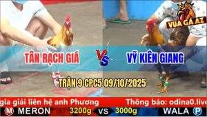 Trận 9 CPC5 9/10/2025 - Anh Tân Rạch Giá Và Anh Vỹ Kiên Giang