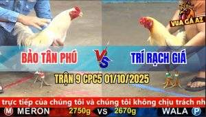 Trận 9 CPC5 1/10/2025 - Anh Bảo Tân Phú Và Anh Trí Rạch Giá