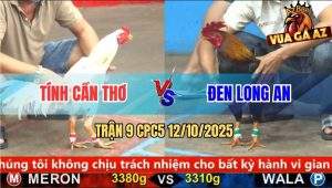 Trận 9 CPC5 12/10/2025 - Anh Tính Cần Thơ Và Anh Đen Long An