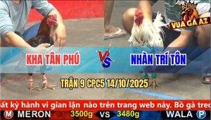 Trận 9 CPC5 14/10/2025 - Anh Kha Tân Phú Và Anh Nhàn Trí Tôn