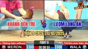 Trận 9 CPC6 24/10/2025 - Xanh Que Khôn Gà Đâm Điều Quê Bến Ói Tiền