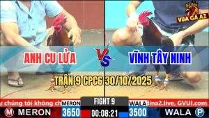 Trận 9 CPC6 30/10/2025 - Điều Áp Sát Bú Cây Lưng Gà Que Ói Tiền Ra