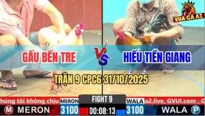 Trận 9 CPC6 31/10/2025 - Bướm Anh Gấu Đá Gà Điều Chết Từ Trong Chết Ra