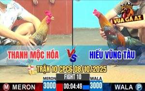 Trận 10 CPC6 8/10/2025