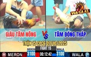 Trận 15 CPC6 7/10/2025