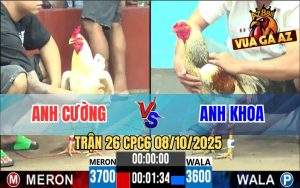 Trận 26 CPC6 8/10/2025