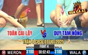 Trận 4 CPC6 7/10/2025