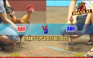 Trận 5 CPC4 7/10/2025