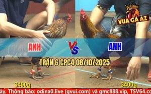 Trận 6 CPC4 8/10/2025