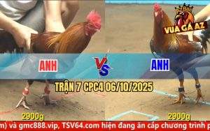 Trận 7 CPC4 6/10/2025