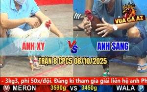 Trận 8 CPC5 8/10/2025