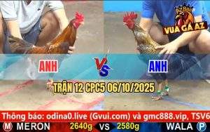 Trận 12 CPC5 6/10/2025