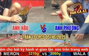 Trận 13 CPC5 5/10/2025 - Gà Que Đá Chưa Tới 3 Chân Điều Gãy Dò Bỏ Chạy