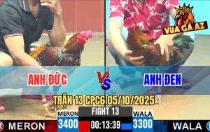 Trận 13 CPC6 5/10/2025