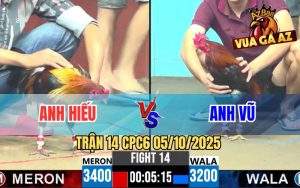 Trận 14 CPC6 5/10/2025