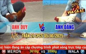 Trận 21 CPC5 5/10/2025