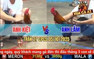 Trận 27 CPC5 5/10/2025