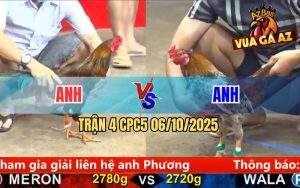 Trận 4 CPC5 6/10/2025