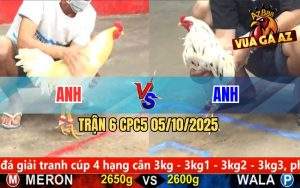 Trận 6 CPC5 5/10/2025