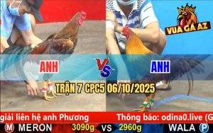 Trận 7 CPC5 6/10/2025