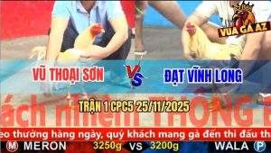 Trận 1 CPC5 25/11/2025 - Úa Cọp Anh Vũ Khai Màn Lấy Mạng Gà Bướm