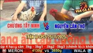 Trận 10 CPC5 25/11/2025 - Điều Anh Nguyên Nhỏ Mà Có Võ Đá Bự Chạy Chết