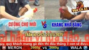 Trận 10 CPC5 27/11/2025 - Gà Điều Anh Khang Đá Bướm Té Đập Đầu Vô Vách