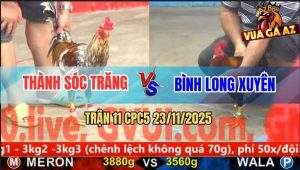 Trận 11 CPC5 23/11/2025 - Gà Điều Kém 3 Chấm Dí Bạc Nhận Ngay Kết Đắng