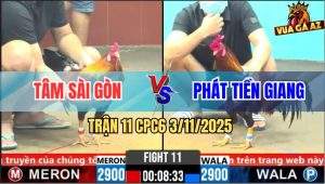 Trận 11 CPC6 3/11/2025 - Điều Đỏ Đá Cựa Quá Xanh Dính Chân Bưng Ra Gấp