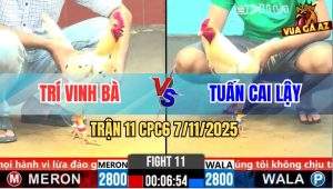 Trận 11 CPC6 7/11/2025 - Gà Úa Anh Tuấn Lọt Chân Hiểm Si Tang Hết Đá