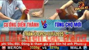 Trận 12 CPC5 1/11/2025 - Anh Cường Diễn Thành Và Anh Tùng Chợ Mới