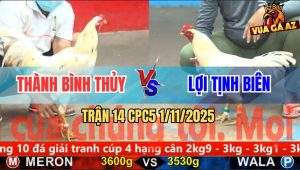 Trận 14 CPC5 1/11/2025 - Anh Thành Bình Thủy Và Anh Lợi Tịnh Biên