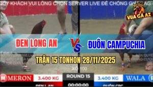 Trận 15 TonHon 28/11/2025 - Gà Khét Làm Thịt Xanh Mẻ Hiệu Tính Ga King