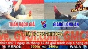 Trận 16 CPC5 21/11/2025 - Bướm Đá 1 Hơi Điều Loạng Choạng Như Say Rượu