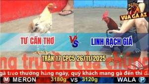 Trận 17 CPC5 26/11/2025 - Gà Bướm Anh Tư Vô Kính Tuôn Chạy Bay Bồ