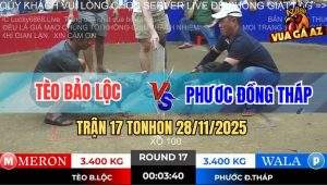 Trận 17 TonHon 28/11/2025 - Anh Tèo Bảo Lộc Đi 2 Con Gãy Nguyên Cặp