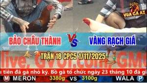 Trận 18 CPC5 1/11/2025 - Anh Bảo Châu Thành Và Anh Vàng Rạch Giá