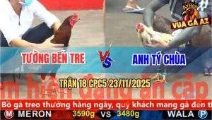Trận 18 CPC5 23/11/2025 - Bướm Hiệu Tý Chùa Tang Xui Dính Chân Xạo Lờ
